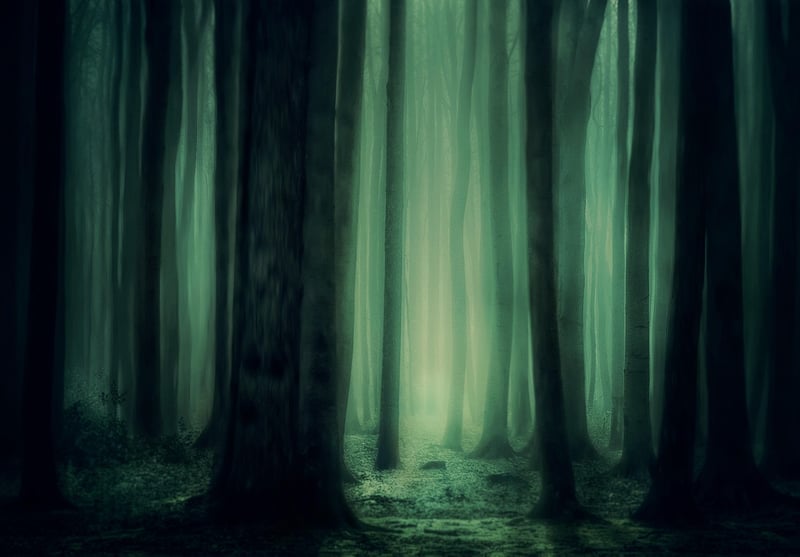 Mystical Garden