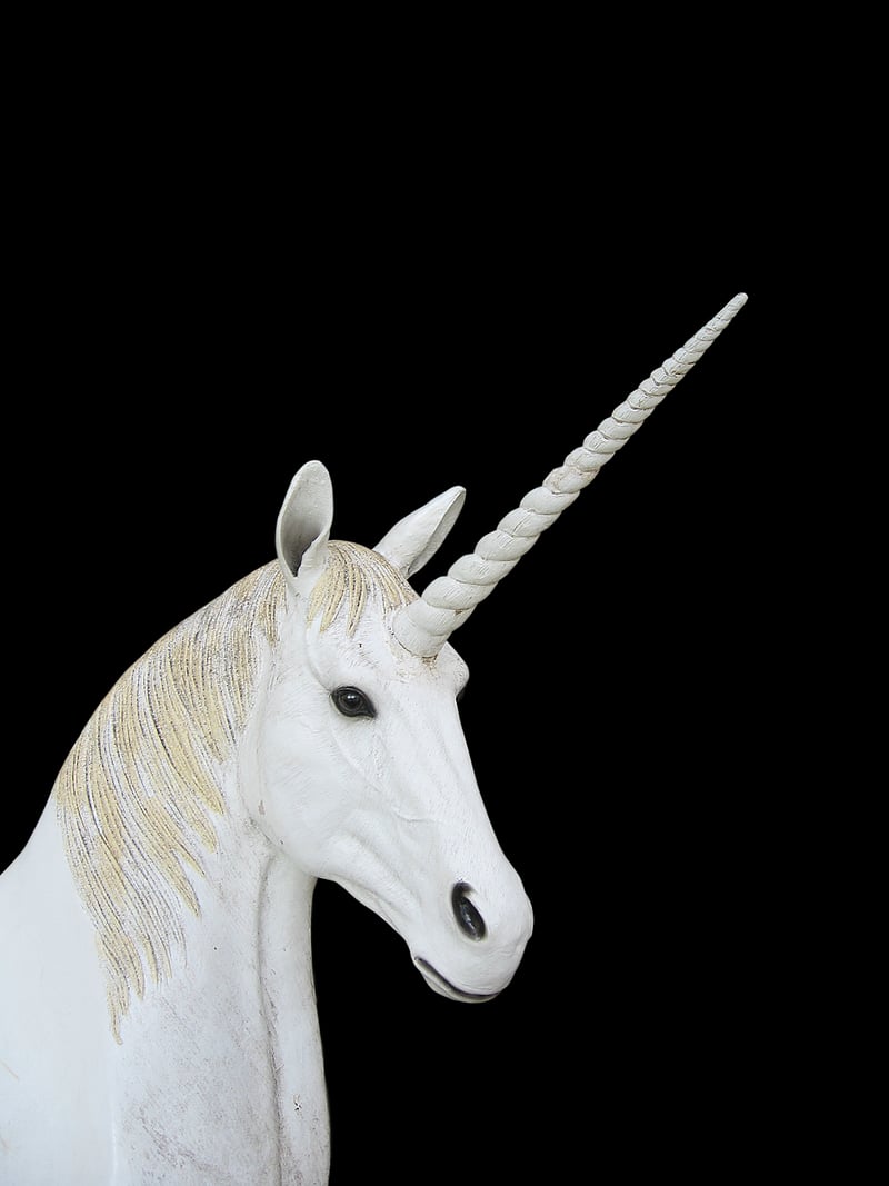 Whimsical Unicorn Photography